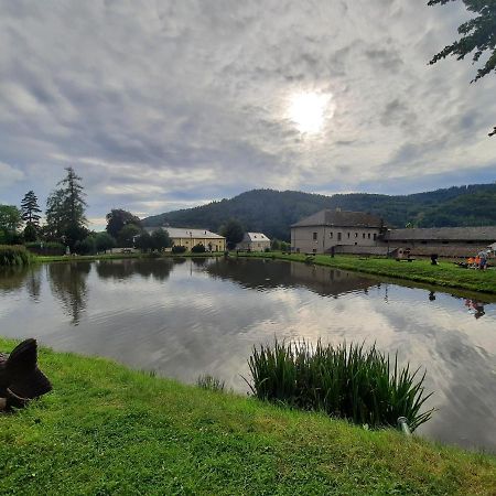 Vila Pod Sedlem Loučná nad Desnou Exteriér fotografie