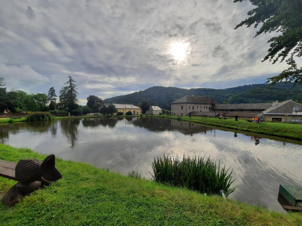 Vila Pod Sedlem Loučná nad Desnou Exteriér fotografie