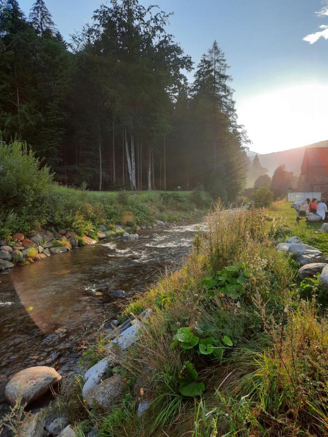 Vila Pod Sedlem Loučná nad Desnou Exteriér fotografie