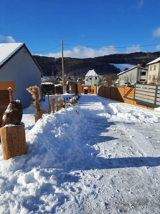 Vila Pod Sedlem Loučná nad Desnou Exteriér fotografie