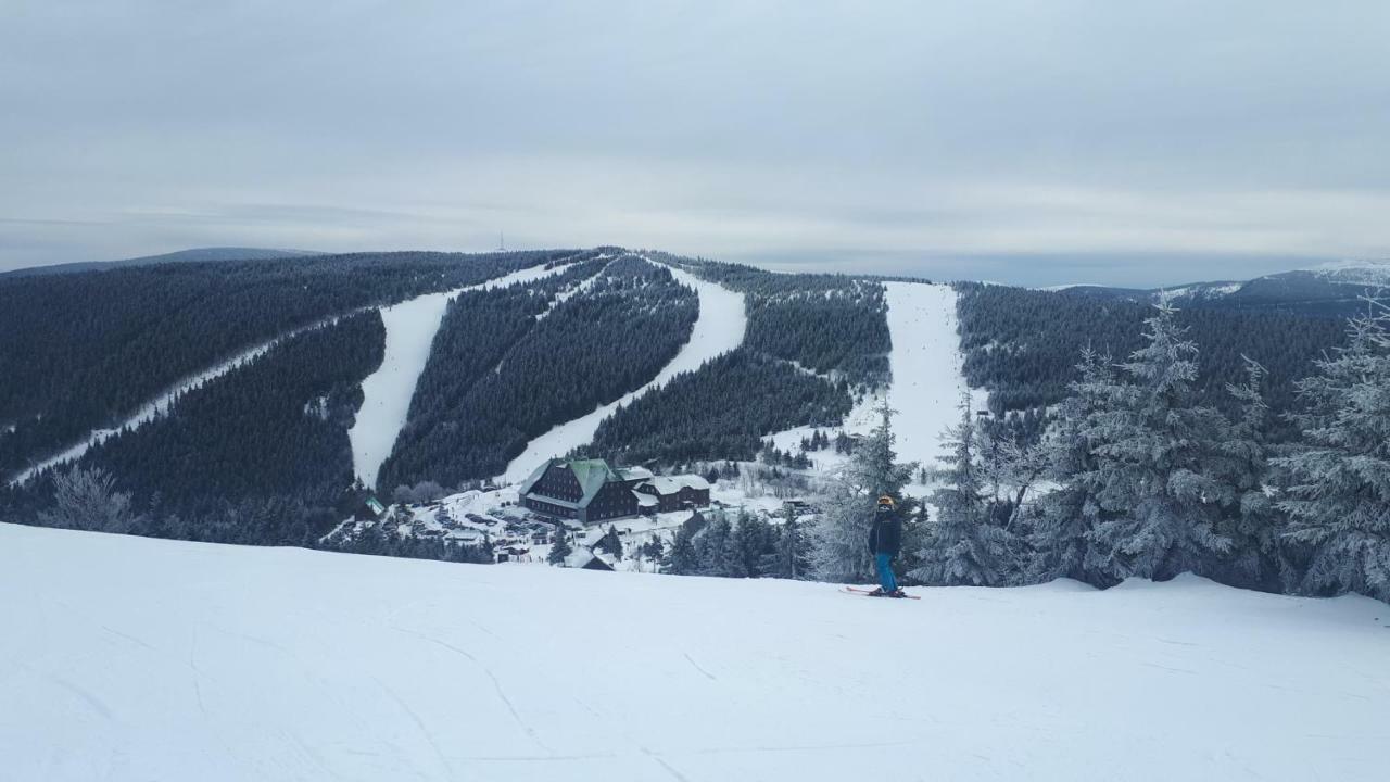 Vila Pod Sedlem Loučná nad Desnou Exteriér fotografie