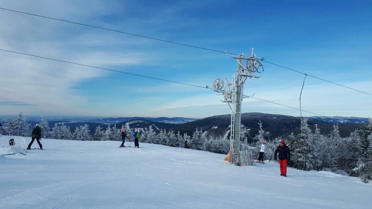 Vila Pod Sedlem Loučná nad Desnou Exteriér fotografie