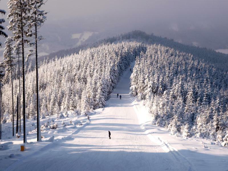 Vila Pod Sedlem Loučná nad Desnou Exteriér fotografie